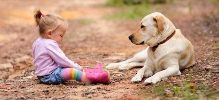 9 tips peuters kennis te laten met je hond (en omgekeerd) - Hondencentrum