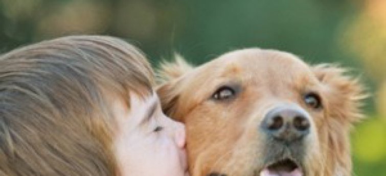 brandwonden spellen magnifiek De beste hond voor kinderen - Hondencentrum